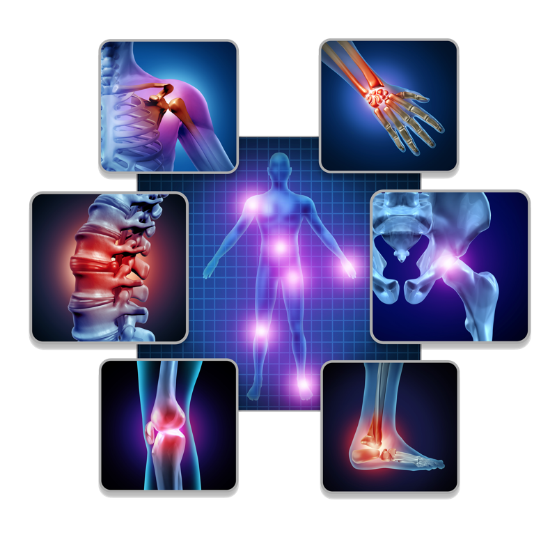 Human Body Joint Pain